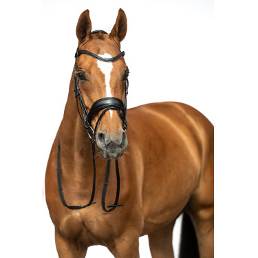 Bridon Ira HKM Zwart