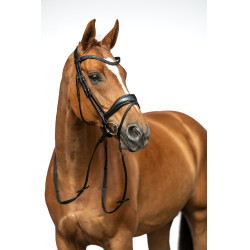 Bridon Ira HKM Zwart