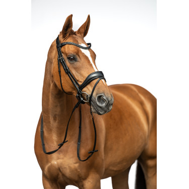 Bridon Ira HKM Zwart