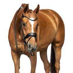 Bridon Ira HKM Zwart