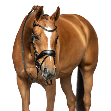 Bridon Ira HKM Zwart