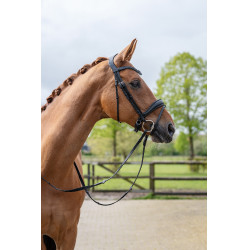 Bridon Ira HKM Zwart