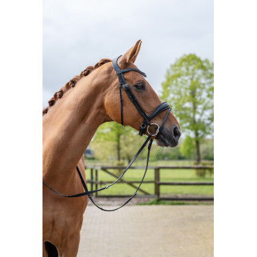 Bridon Ira HKM Zwart