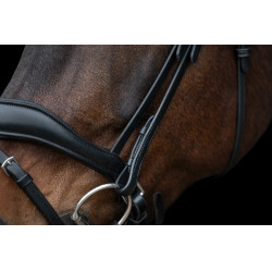 Bridon Ira HKM Zwart