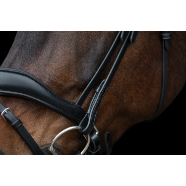 Bridon Ira HKM Zwart