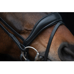 Bridon Ira HKM Zwart