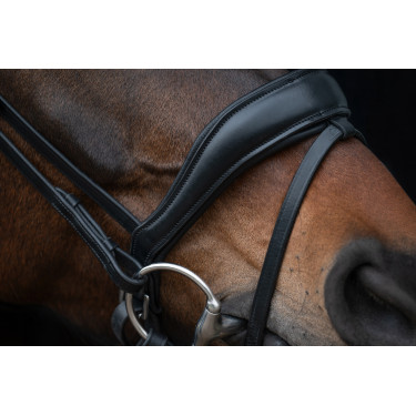Bridon Ira HKM Zwart