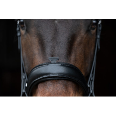 Bridon Ira HKM Zwart