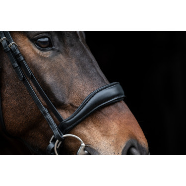Bridon Ira HKM Zwart
