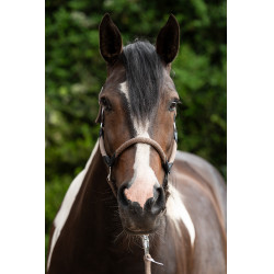 Licol Carlotta HKM Taupe Marron Licol Carlotta HKM Taupe Marron