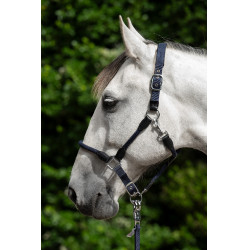 Licol Carlotta HKM Bleu foncé