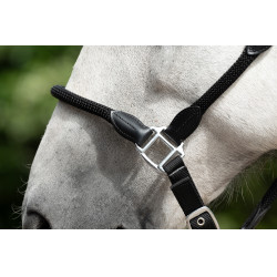 Licol Carlotta HKM Noir