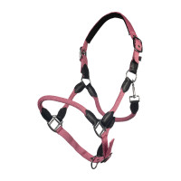 Licol Carlotta HKM Rose