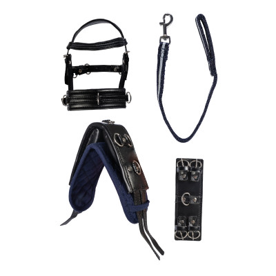 Set de longe Cuddle Pony HKM Noir