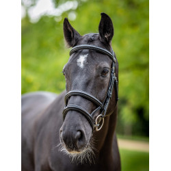 Dubbele neusriem hoofdstel LeMieux Kudos Zwart / zilver