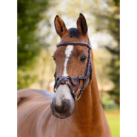 Filet de nez LeMieux Confort Shield Grackle Marron