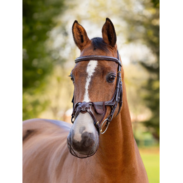 Filet de nez LeMieux Confort Shield Grackle Marron