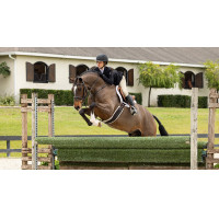 Hunter LeMieux Merino+ zadeldek Wit / wit