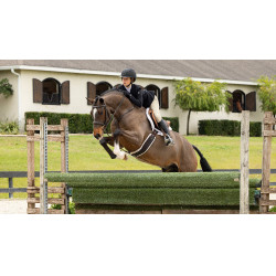 Hunter LeMieux Merino+ zadeldek Wit / wit Hunter LeMieux Merino+ zadeldek Wit / wit