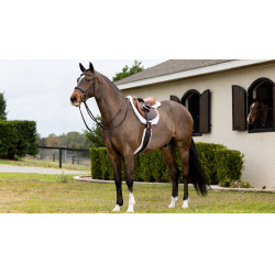 Hunter LeMieux Merino+ zadeldek Wit / wit Hunter LeMieux Merino+ zadeldek Wit / wit