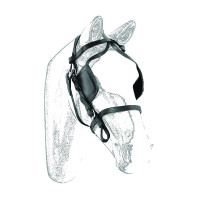 Leren Koetsenhoofdstel Umbria Equitazione Zwart
