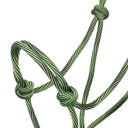 Licol Corde Nouée Réglable Waves Design 8mm Pool's Citron / noir Jaune Licol Corde Nouée Réglable Waves Design 8mm Pool's Citron / noir Jaune