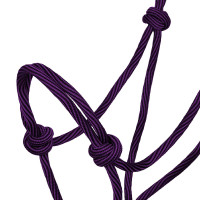 Licol Corde Nouée Réglable Waves Design 8mm Pool's Violet / noir