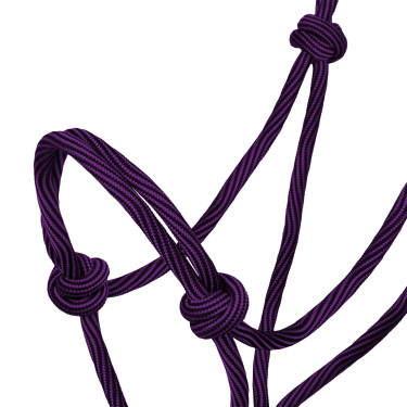 Licol Corde Nouée Réglable Waves Design 8mm Pool's Violet / noir Licol Corde Nouée Réglable Waves Design 8mm Pool's Violet / noir