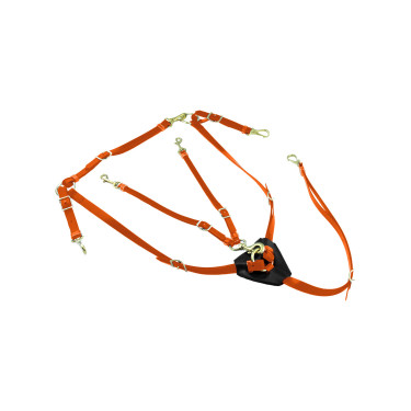 Collier de chasse en Biothane avec Martingale Lakota Collier de chasse en Biothane avec Martingale Lakota