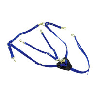 Collier de chasse en Biothane avec Martingale Lakota Bleu royal