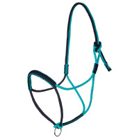 Licol Tressé avec Décorations Pool's Bleu sarcelle / marine