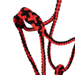 Licol en Nylon Tressé Pool's Noir / rouge