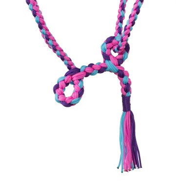 Gevlochten Nylon Halster Pool's Roze / lichtblauw / paars Multicolor