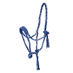 Licol en Nylon Tressé Pool's Royal / blanc