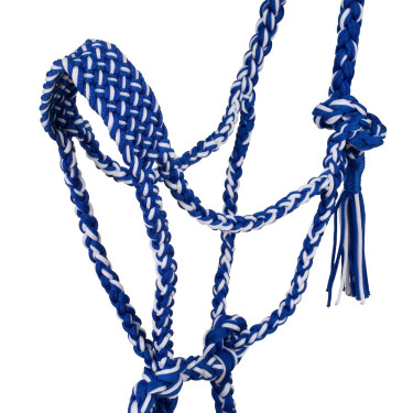 Licol en Nylon Tressé Pool's Royal / blanc Licol en Nylon Tressé Pool's Royal / blanc