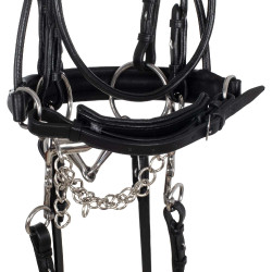Bridon de Dressage Double avec Frontal Rond Supreme Noir Bridon de Dressage Double avec Frontal Rond Supreme Noir