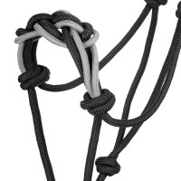 Licol avec Corde Tressée sur le Nez Pool's Noir / gris