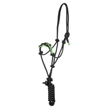 Licol avec Corde Tressée sur le Nez Pool's Noir / citron
