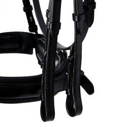 Bride Evolution en Cuir sans Rênes Doubles Equestro Noir