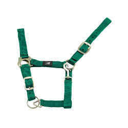 Nylon Halster Dubbel Laags met Dubbele Verstelling Supreme Groen gras