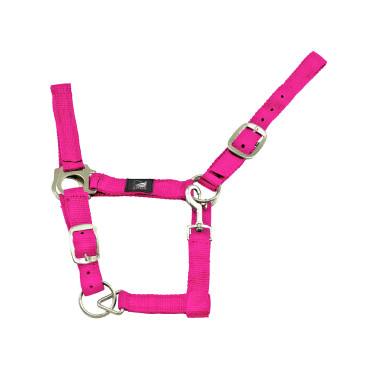 Licol en Nylon Double Couche avec Double Réglage Supreme