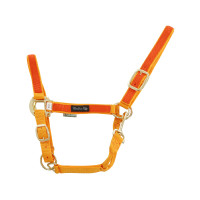 Nylon halster met Gekleurde Delen Umbria Equitazione Goud / oranje