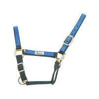 Nylon halster met Gekleurde Delen Umbria Equitazione Groen / koningsblauw Multicolor