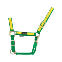 Licol en Nylon avec Parties Colorées Umbria Equitazione Vert / jaune Licol en Nylon avec Parties Colorées Umbria Equitazione Vert / jaune