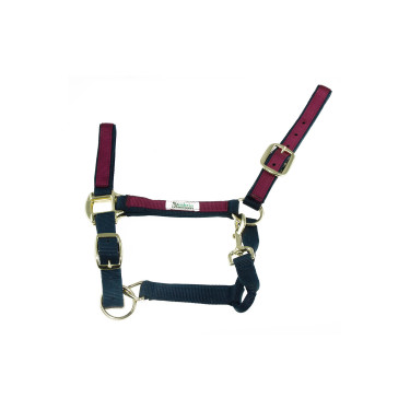 Licol en Nylon avec Parties Colorées Umbria Equitazione Marine / bordeaux Bleu Licol en Nylon avec Parties Colorées Umbria Equitazione Marine / bordeaux Bleu