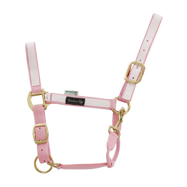 Nylon halster met Gekleurde Delen Umbria Equitazione Roze / wit