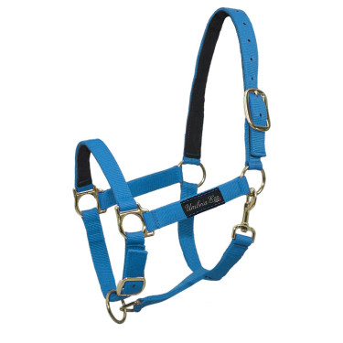 Licol en Nylon avec Renfort en Cuir Umbria Equitazione Turquoise