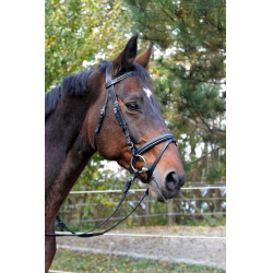 Bridon Classic zwart van leer Bridon Classic zwart van leer