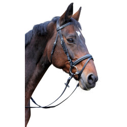 Bridon Classic zwart van leer Bridon Classic zwart van leer