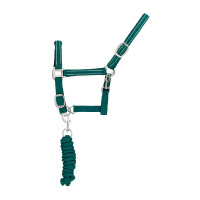 Licol Synthétique avec Longe Reflective Supreme Vert foncé